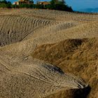 Val d'Orcia