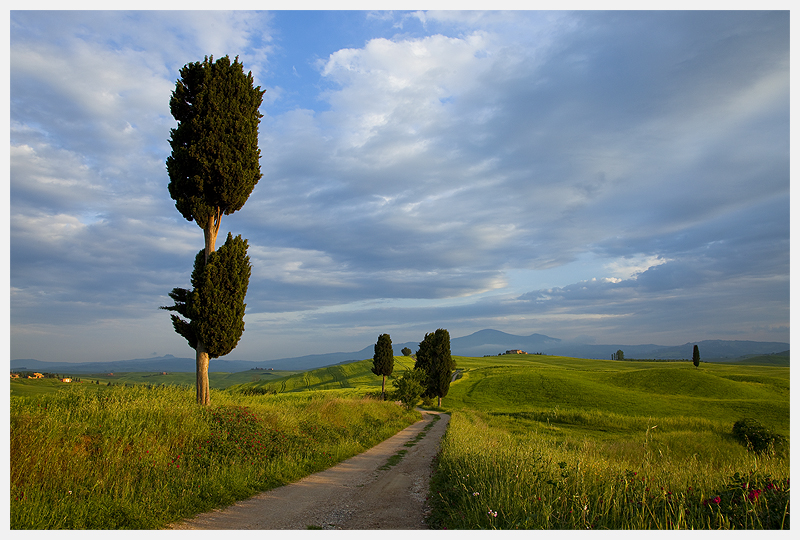 Val d'Orcia