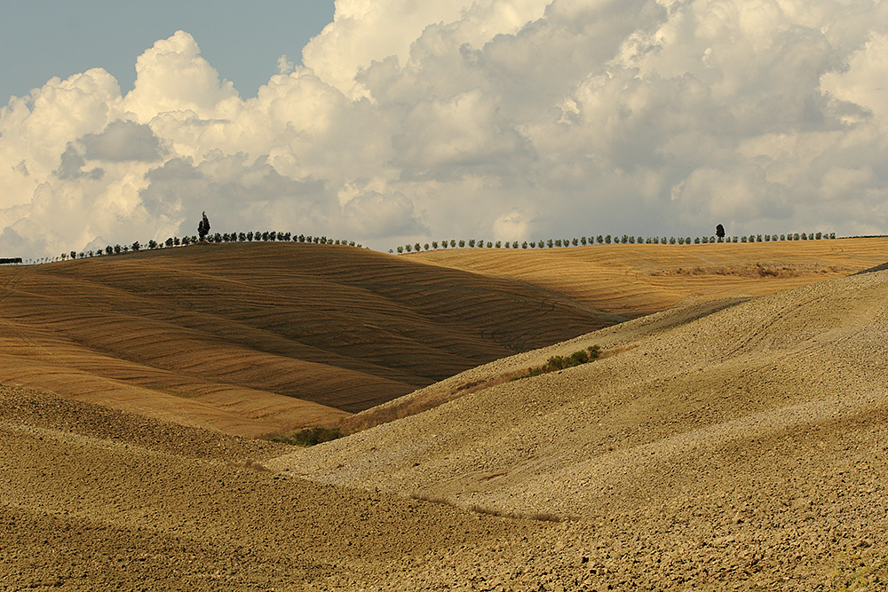 Val d'Orcia 5