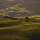 Val d'Orcia