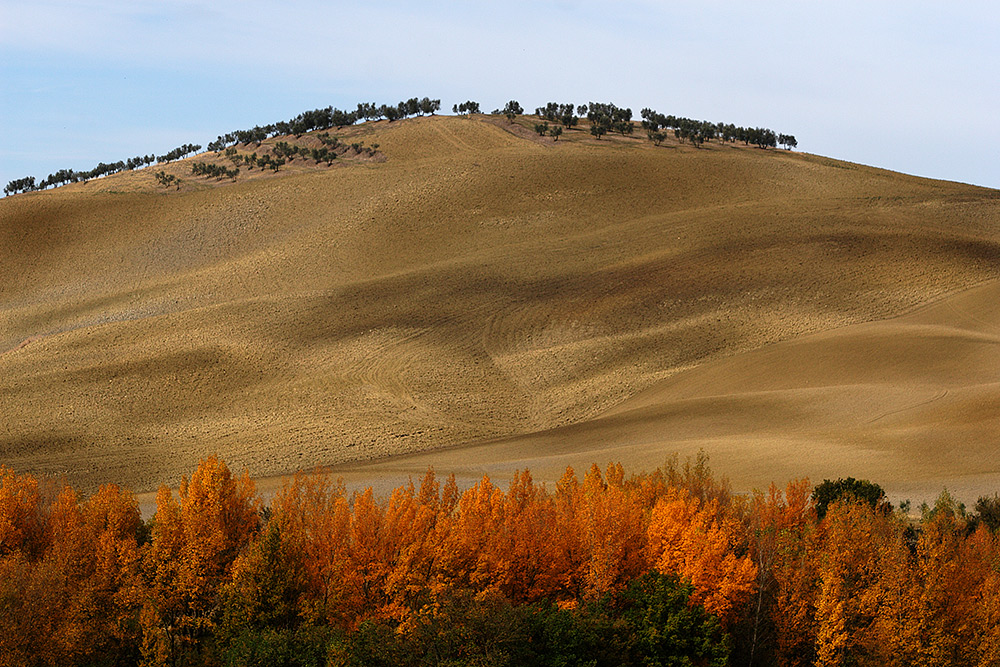 Val d'Orcia 6