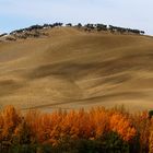 Val d'Orcia 6