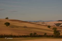 Val d'Orcia