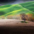 Val d’Orcia