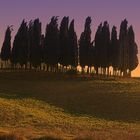 val d'orcia