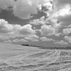 Val d'Orcia