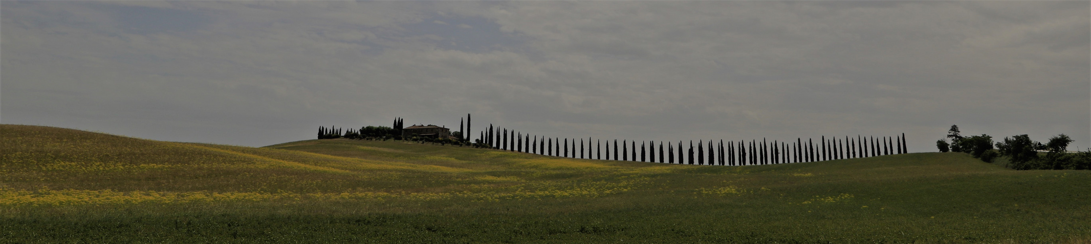 Val d'Orcia