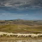 Val d'Orcia