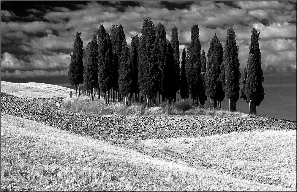 val d'orcia