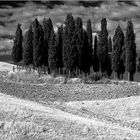 val d'orcia