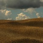 Val d'Orcia 8