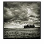 Val d'Orcia # 8