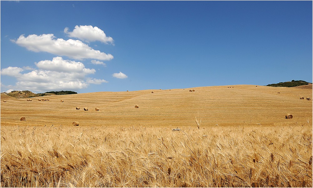 Val d'Orcia