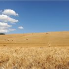 Val d'Orcia