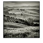 Val d'Orcia # 9