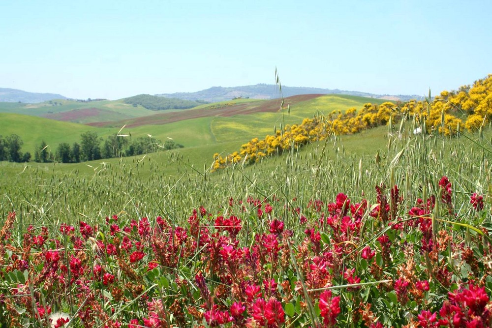 Val d'Orcia