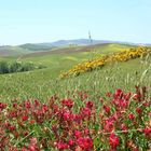 Val d'Orcia