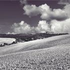 Val d'Orcia .