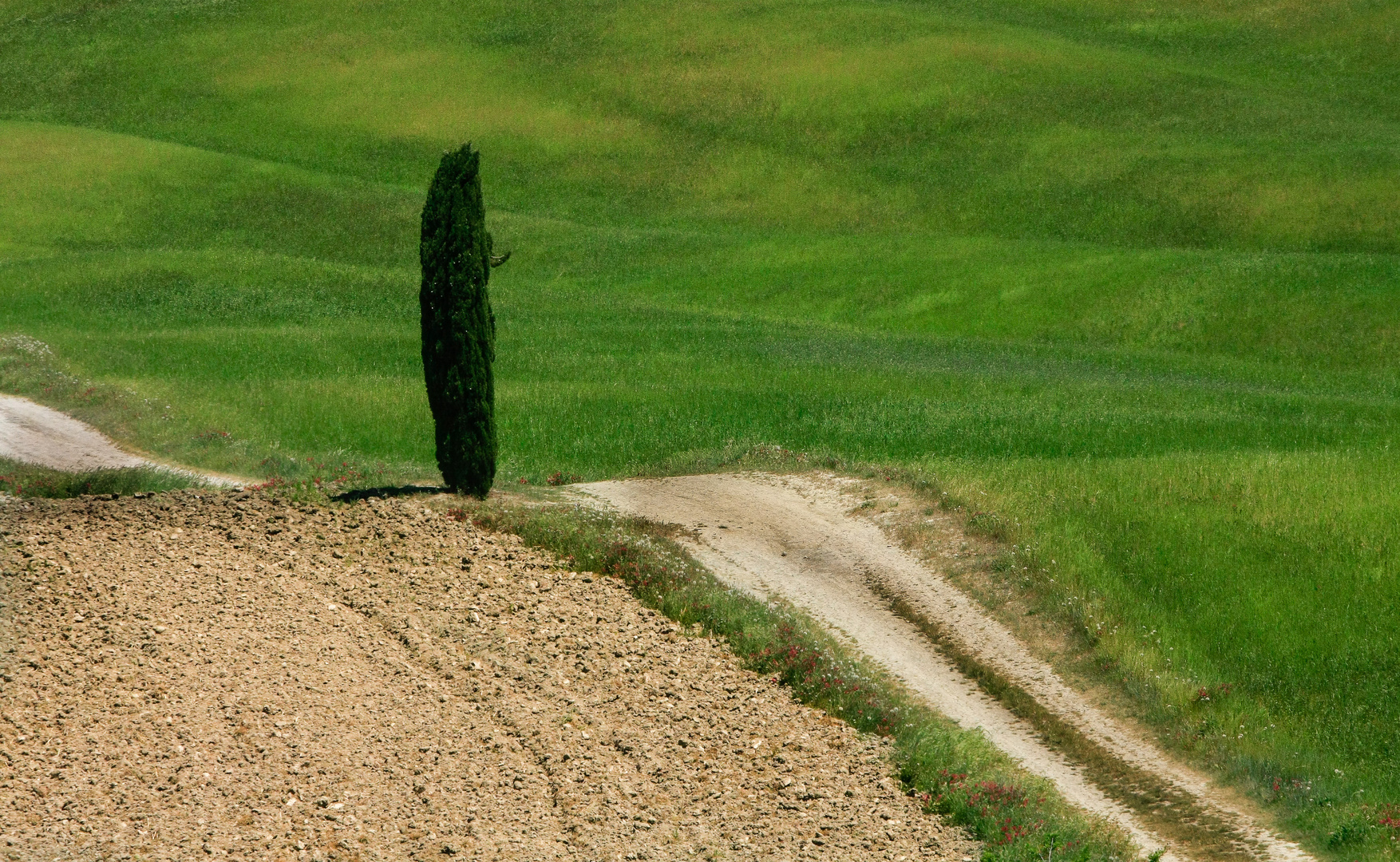 val d'Orcia