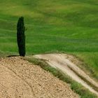 val d'Orcia