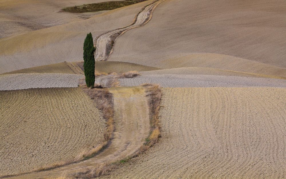 Val d'Orcia 