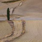 Val d'Orcia 