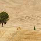 Val d'Orcia