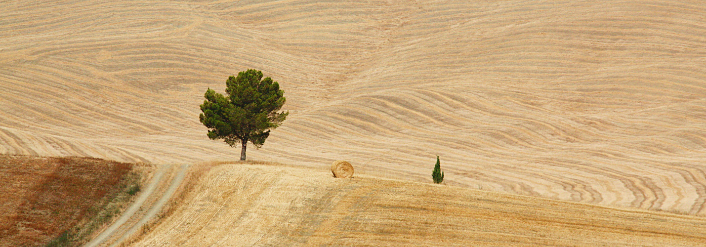 Val d'Orcia