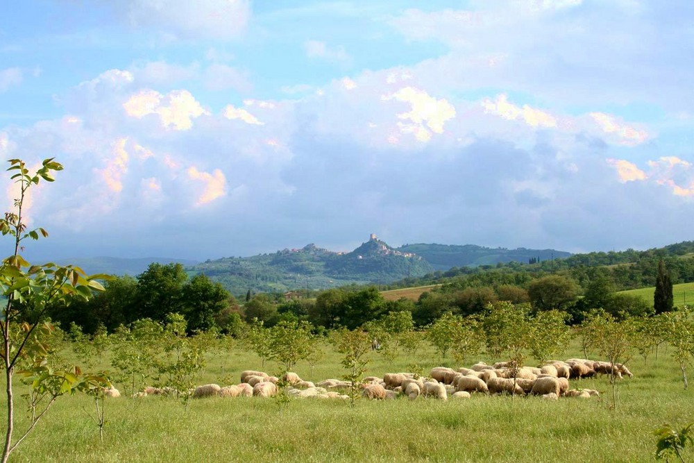 Val d'Orcia