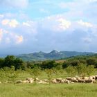 Val d'Orcia