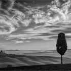 Val d'Orcia am Morgen (3)