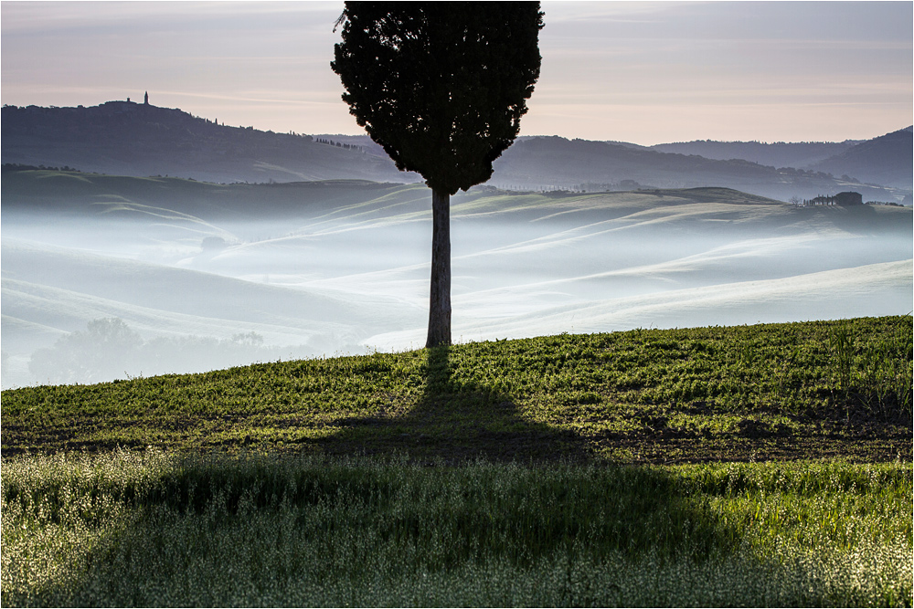 Val d'Orcia am Morgen (4)