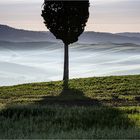 Val d'Orcia am Morgen (4)