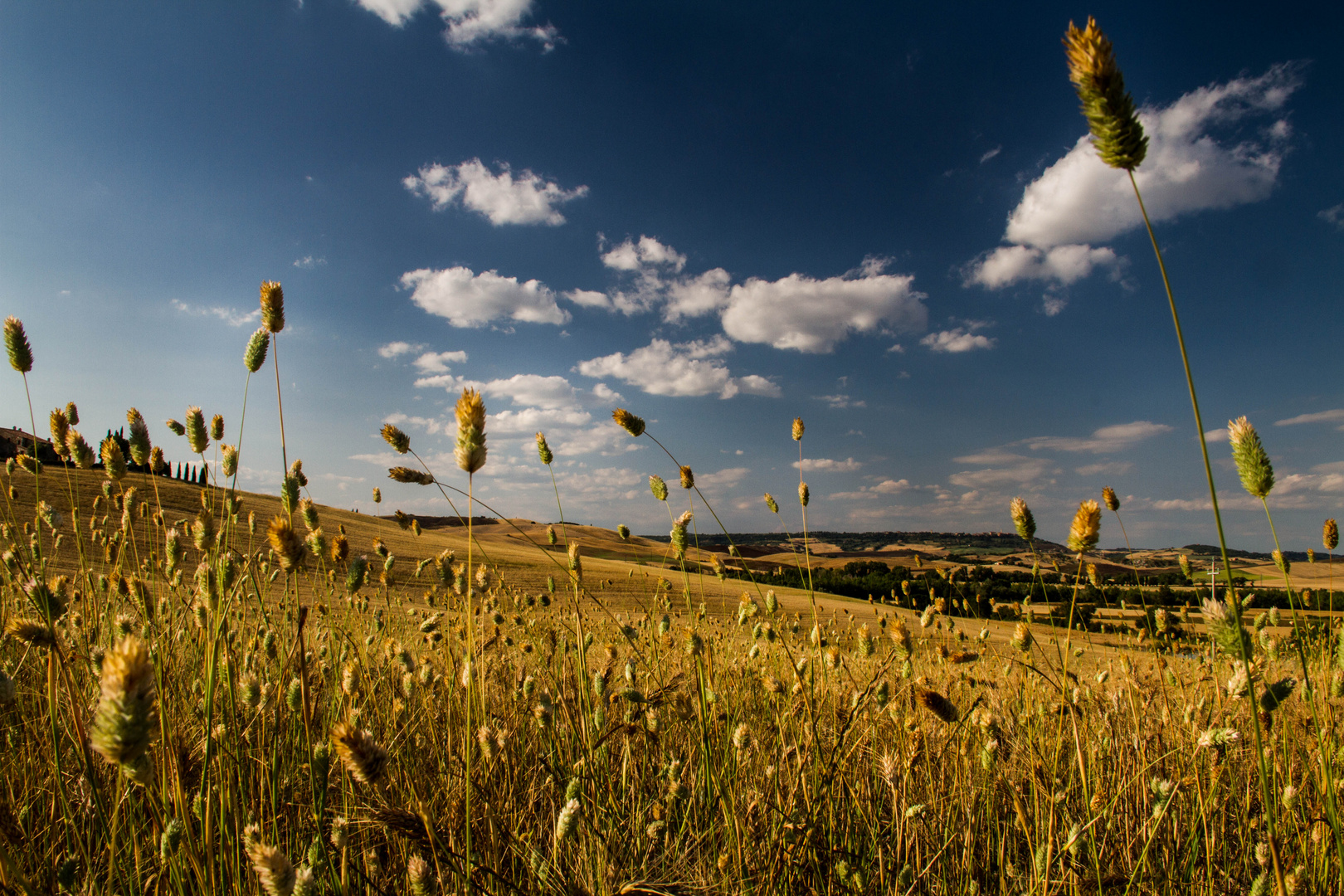 Val d'Orcia