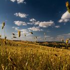 Val d'Orcia