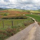 Val D'Orcia.