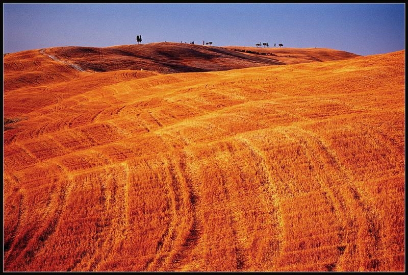 Val d`Orcia