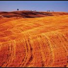 Val d`Orcia