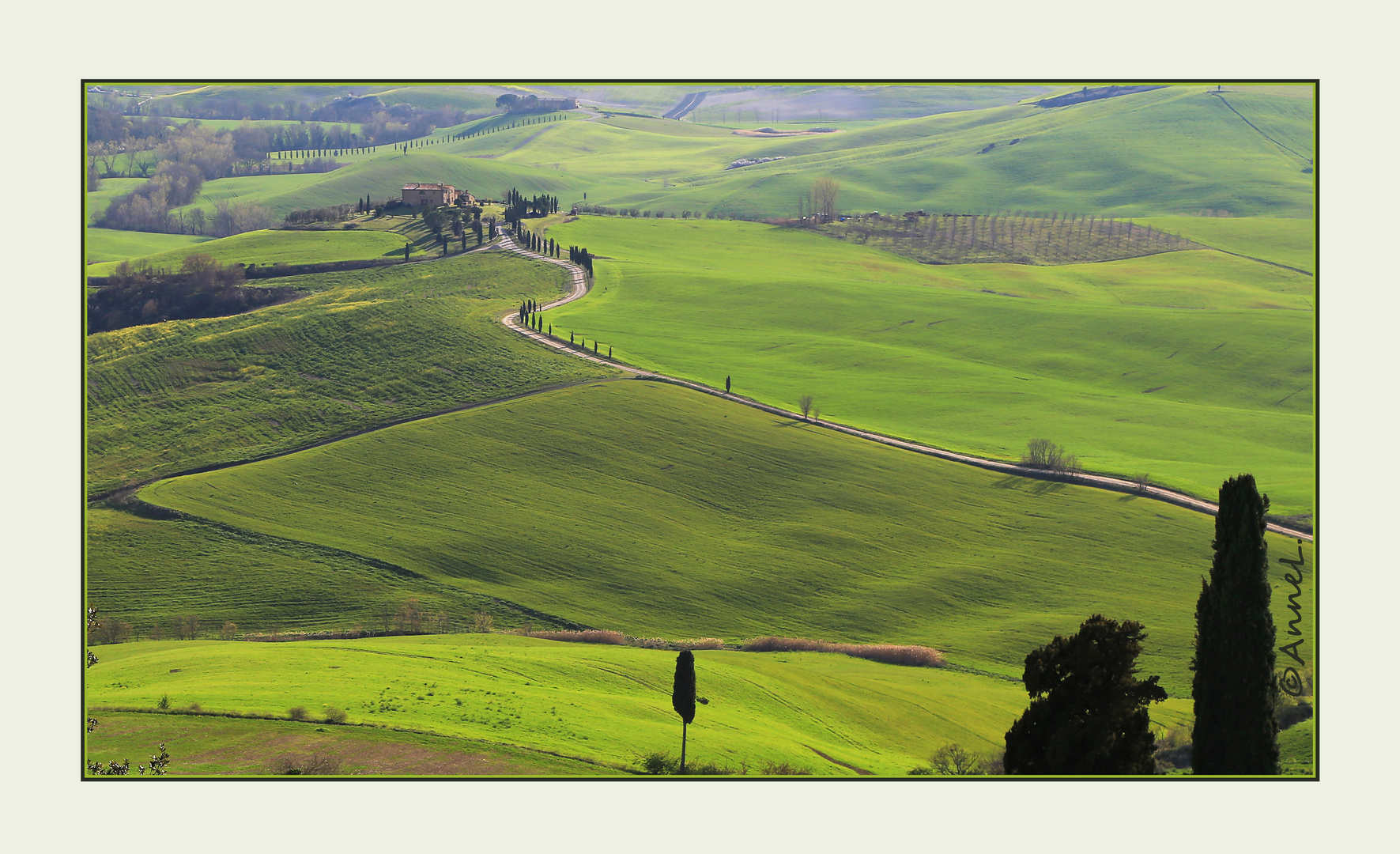Val d`Orcia bei Pienza