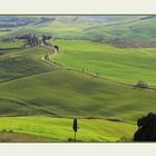 Val d`Orcia bei Pienza
