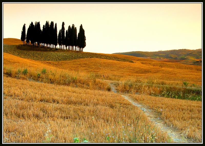 Val d`Orcia