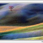 Val d'Orcia