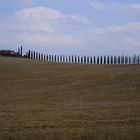 Val D'Orcia 