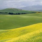 Val D'Orcia.