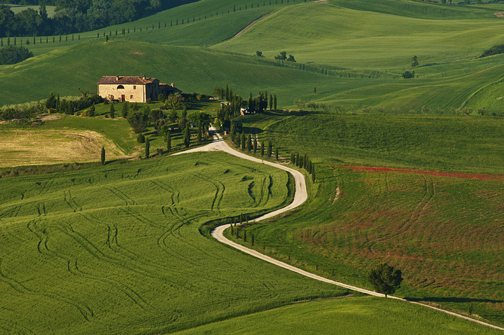 Val d'Orcia da Pienza