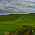 Val d'Orcia di verde vestita