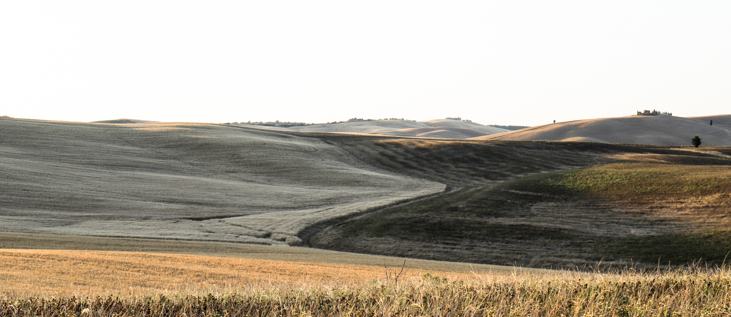 Val d'Orcia: è tempo di mietitura 1