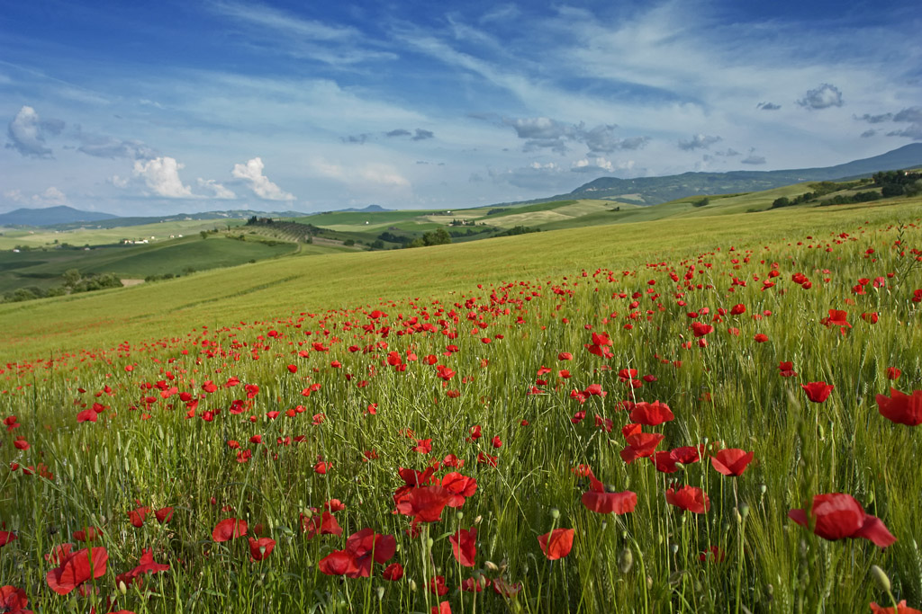 Val d'Orcia