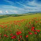 Val d'Orcia