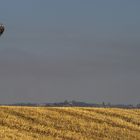 Val D'Orcia